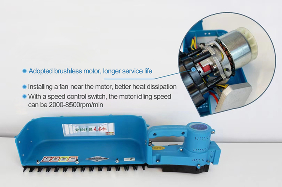 24v 10Ah Máy hái trà chạy bằng pin mini Máy thu hoạch trà cho ngoài trời